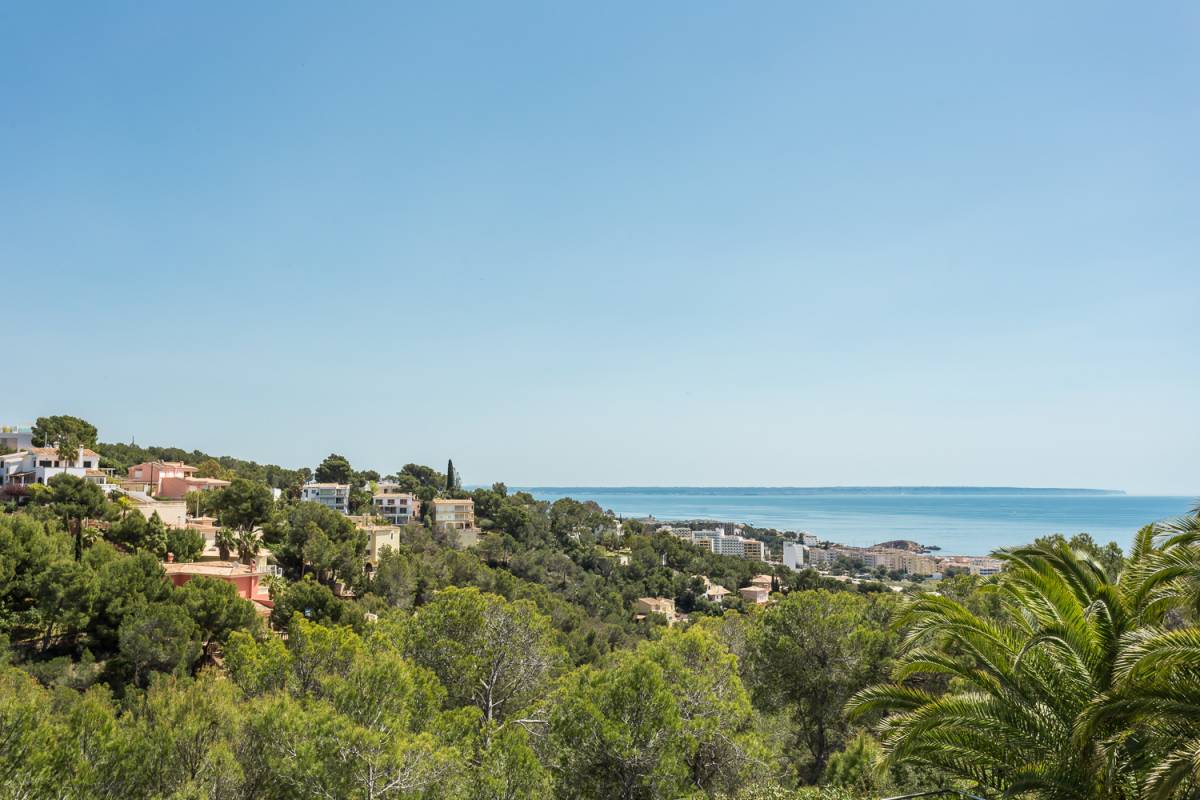 Mg 3102 Costa den Blanes