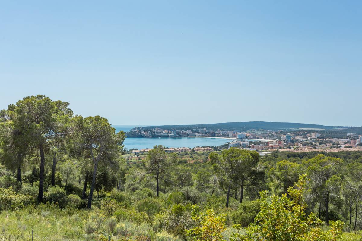 Mg 3114-edit Costa den Blanes