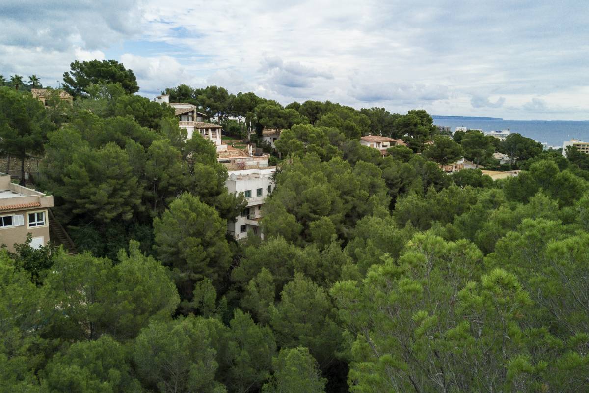 Dji 0004 Costa den Blanes