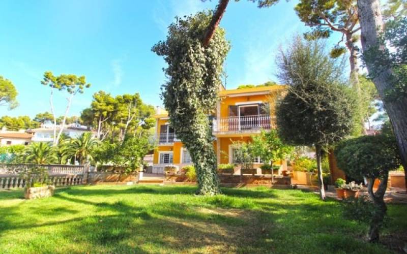 Villa on a large plot close to the small beach in Portals Nous for sale in Mallorca