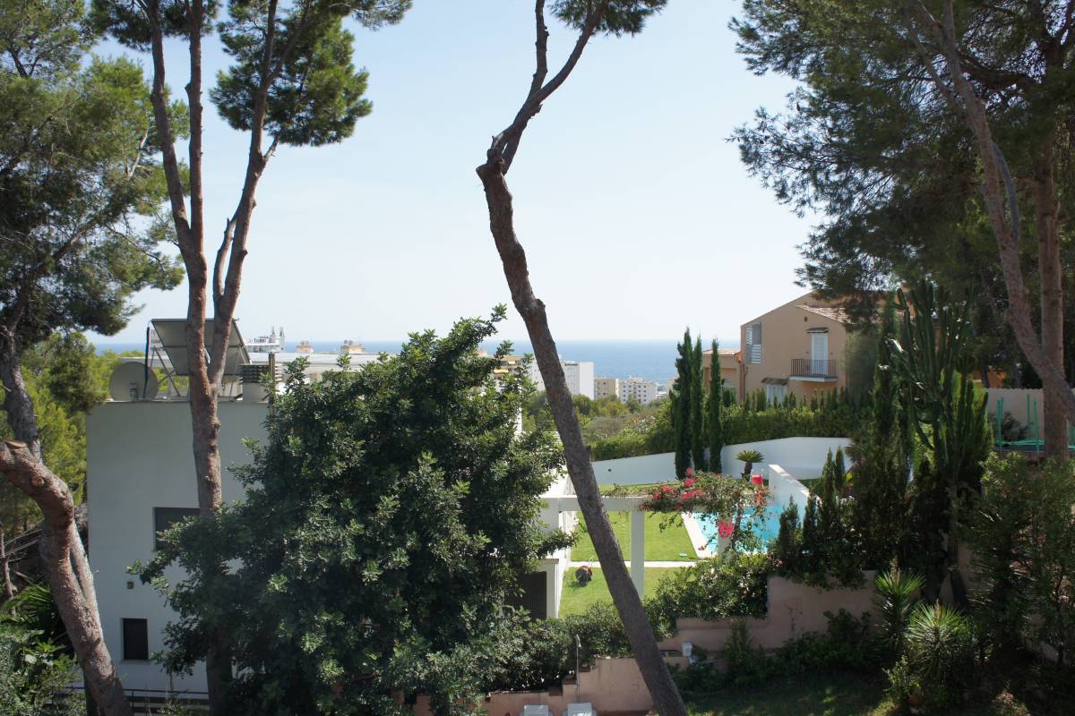 Dsc04127 Costa den Blanes