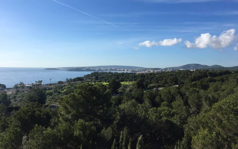 Large sea view villa in Costa den Blanes for sale in Mallorca