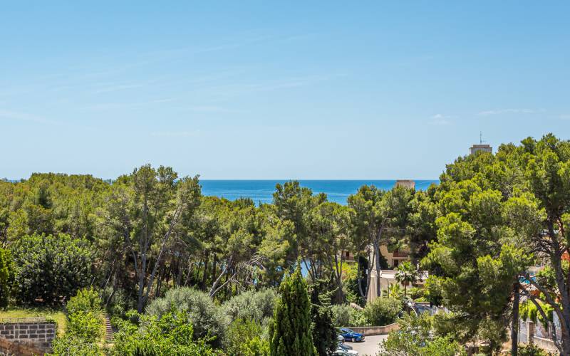 South facing sea view apartment in Portals Nous for sale in Mallorca
